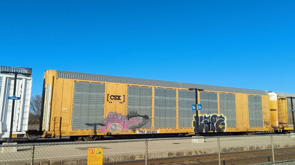 CSX B11838 (Body) TTGX 695454 (Flat)